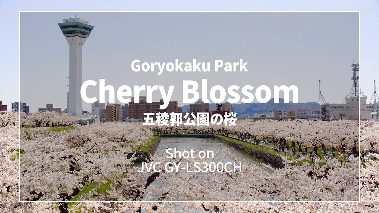 [4K]五稜郭公園の桜 ライトアップ - 函館市 2017 Cherry Blossoms at Goryokaku[UltraHD]