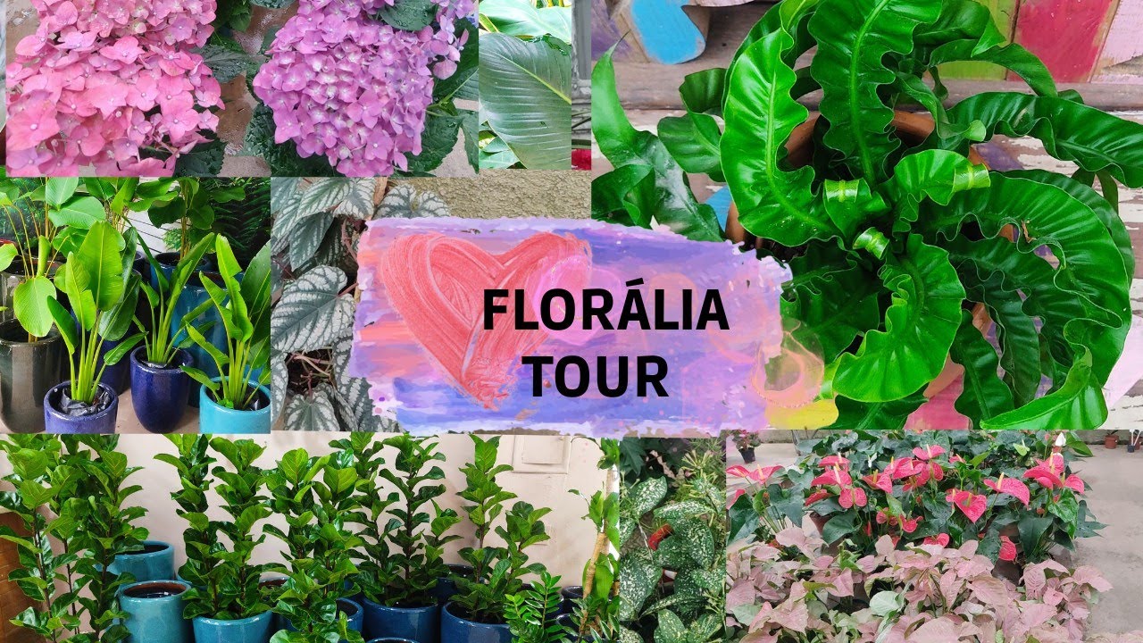 conheci um novo horto - fiz um tour - lugar incrível organizado e lindo - Florália Niterói -