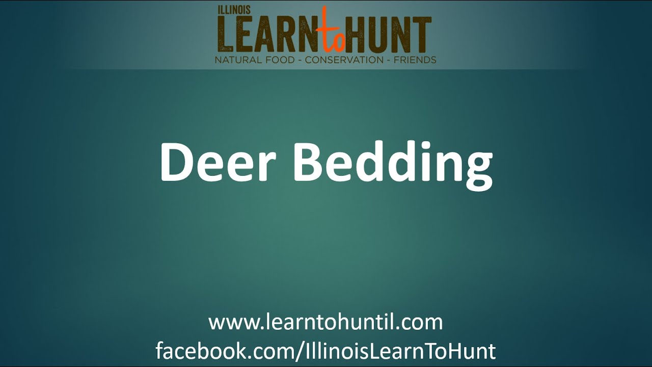 LtH Webinar: Deer Bedding