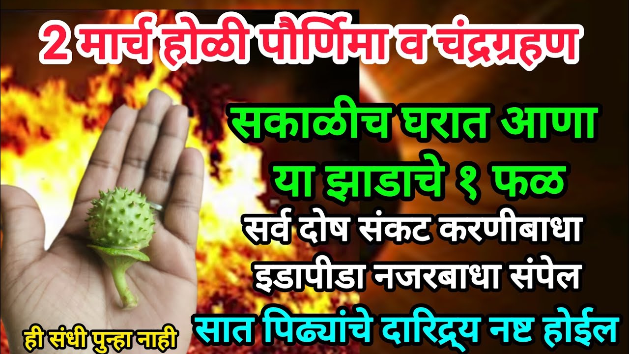 #होळी #पौर्णिमा सकाळीच घरात आणा या झाडाचे १ फळ, सात पिढ्यांचे दारिद्र्य, आजारपण,कर्ज, दोष नष्ट होतील