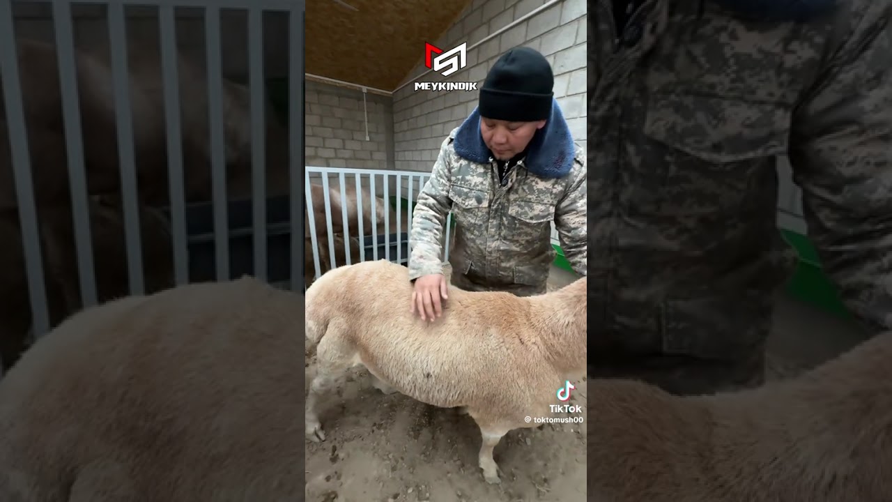 7 января 2026 г.