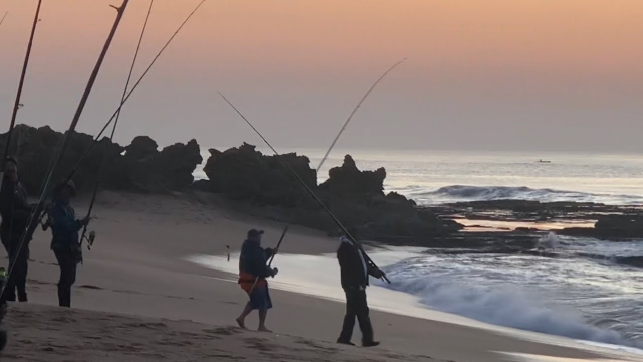 Umdloti Beach Fishing Shad and Blacktail