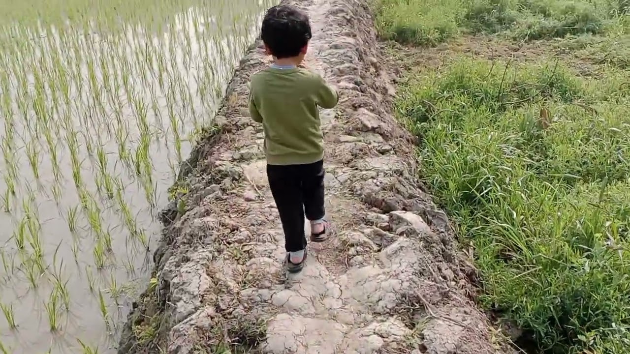 সকাল সকাল  মা, ছেলে হাটতে গিয়ে সূর্যি মামার দেখা পেলাম। 