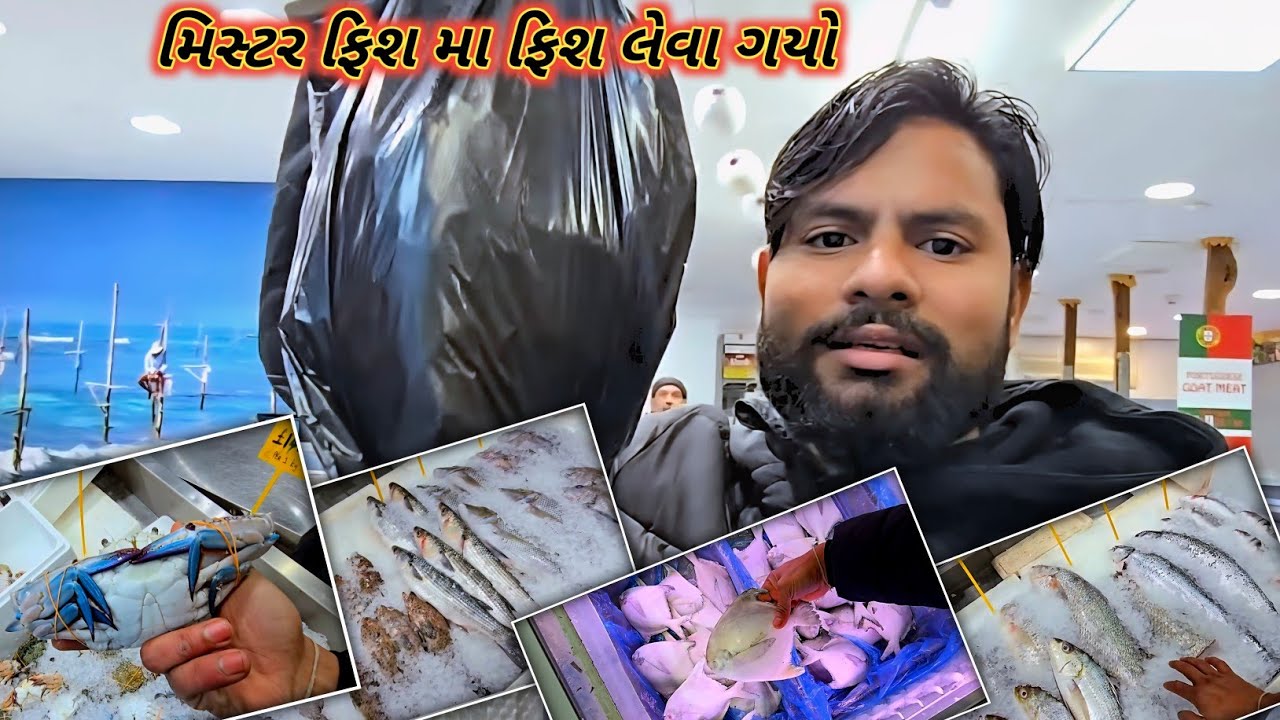 મિસ્ટર ફિશ મા ફિશ લેવા ગાયો || Mr fish ma fish leva gayo || #vlogs #freshfish #indiafreshfish #fish 