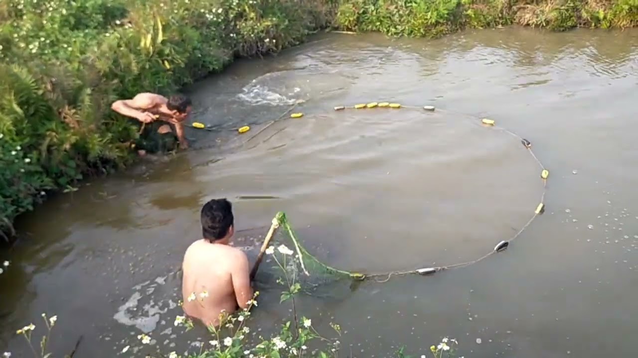 Câu cá không được thì vét cá , cá 50kg á ?
