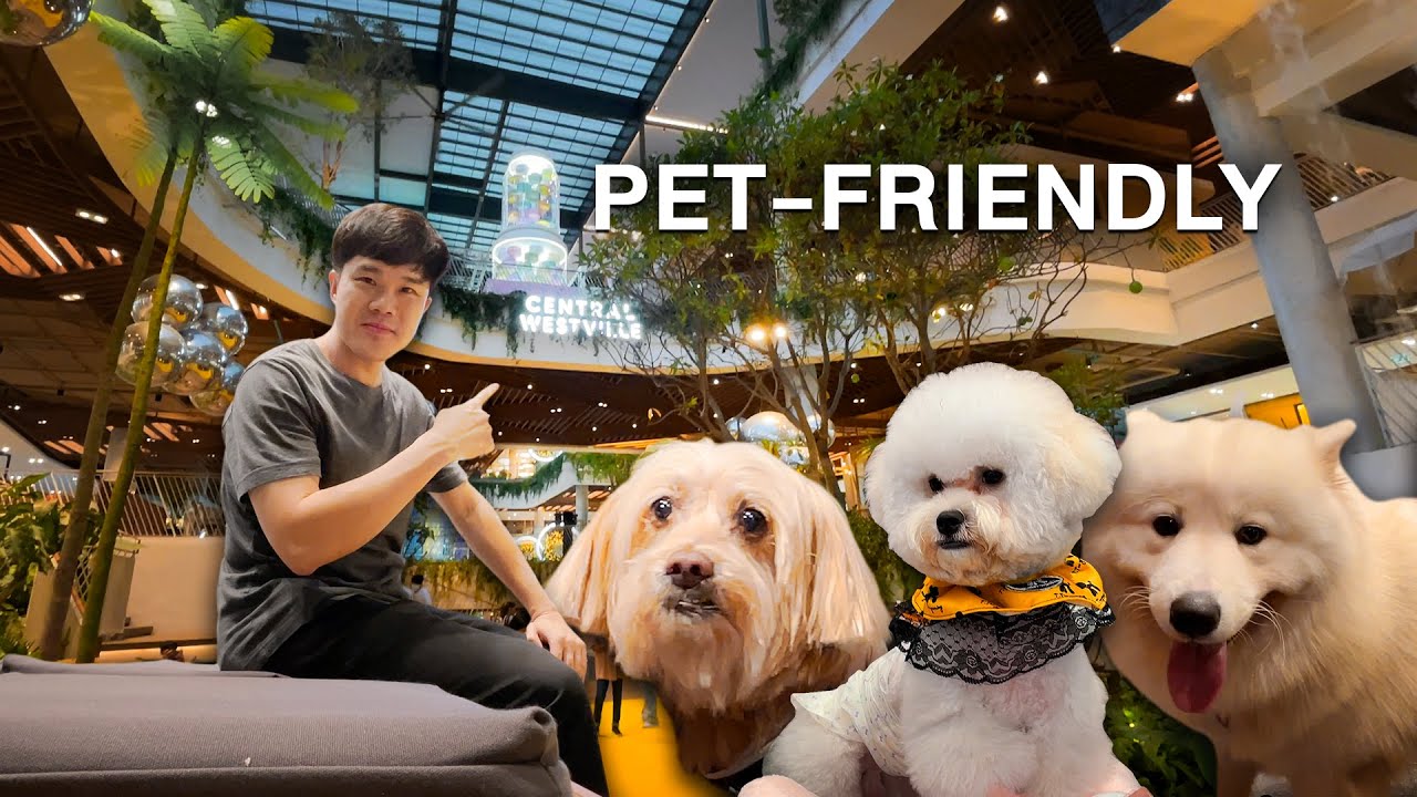 Newest Pet-Friendly Mall in Bangkok Suburb: Central Westville (#43)