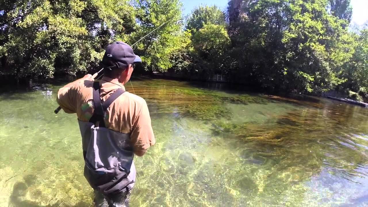 Les ombres de la Sorgue