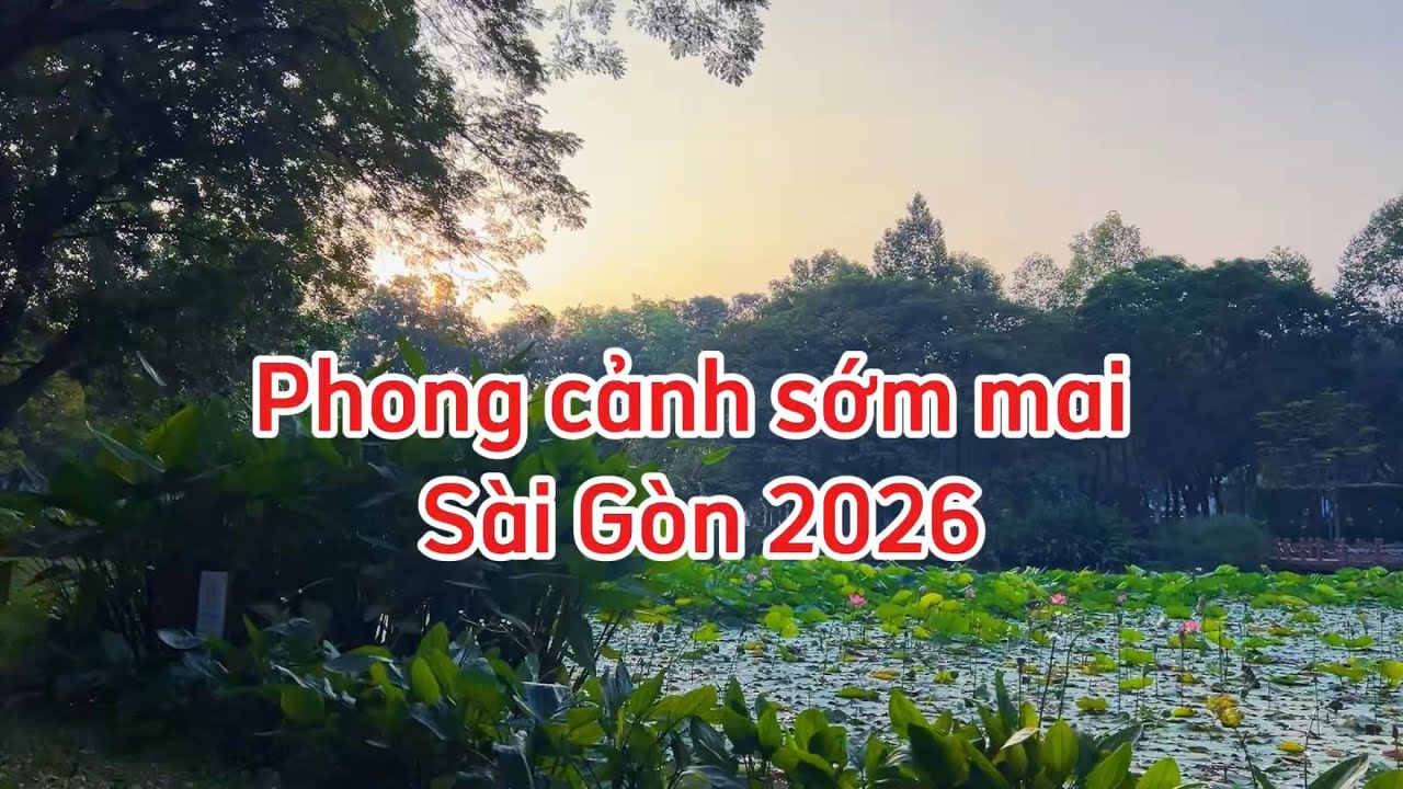 Buổi sáng bình yên 