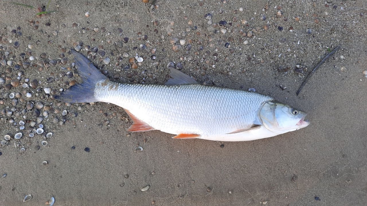 Cel mai puternic avat pe care l-am capturat anul asta, Arges, iulie 2022 zona Pruni