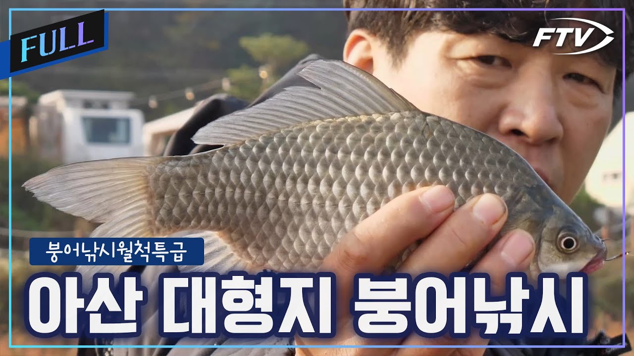 [Full]아산의 늦가을, 대형 저수지에서의 월척 도전![붕어낚시월척특급/903회]