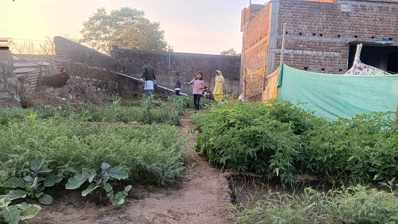 Finally my new blog main aapka swagat hai mama ka sabji plant mein...🌿👍🏻