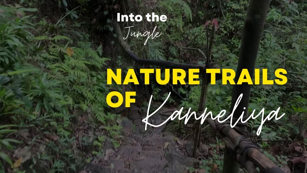 Nature Trails of Kanneliya