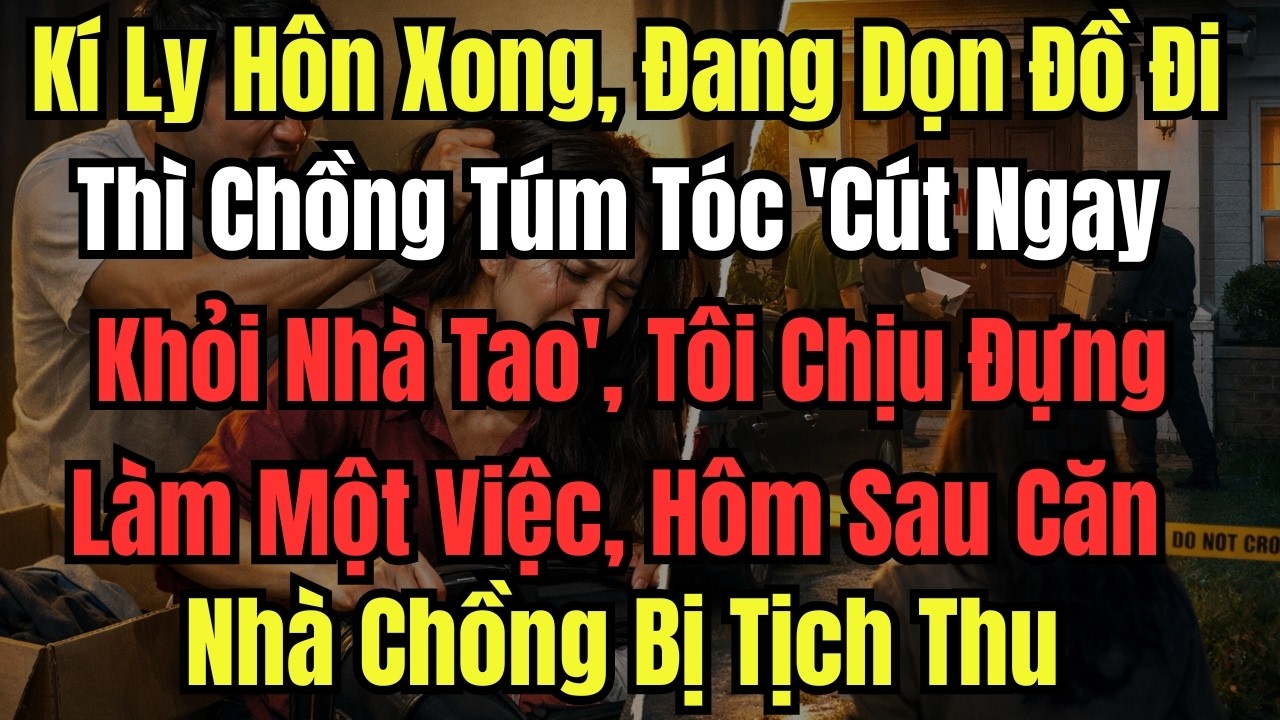 Kí Ly Hôn Xong, Đang Dọn Đồ Đi Thì Chồng Túm Tóc 'Cút Ngay Khỏi Nhà Tao', Tôi Chịu Đựng Làm Một Việc