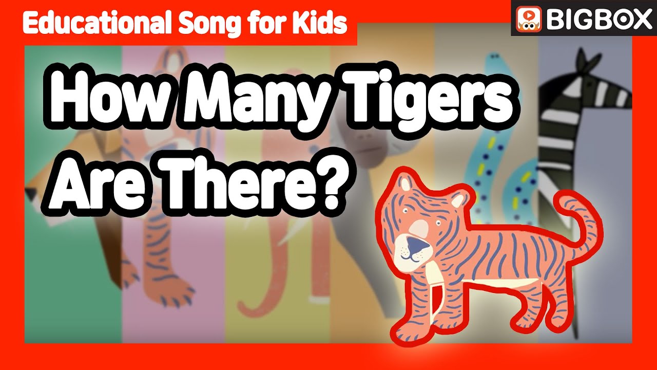 [ How Many Tigers Are There? ] Educational Song for Kids | BIG SHOW #2-1 ★BIGBOX