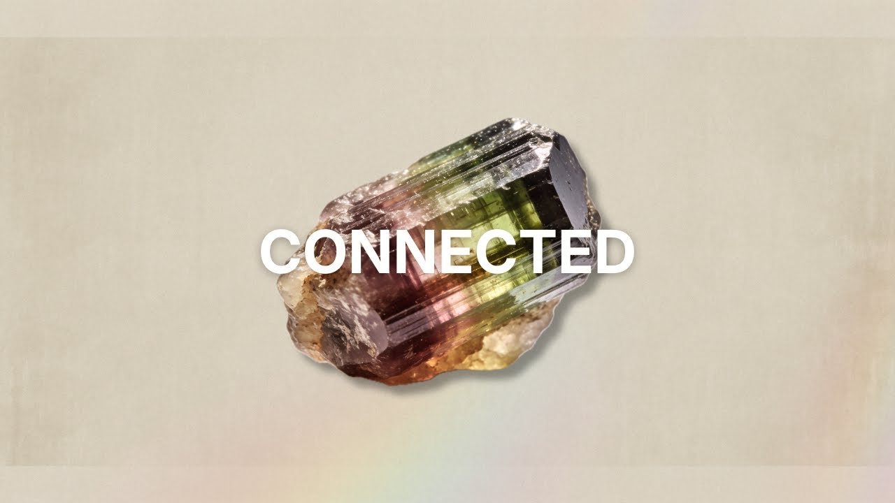 You Are Not Alone | A Short Guided Meditation for Belonging