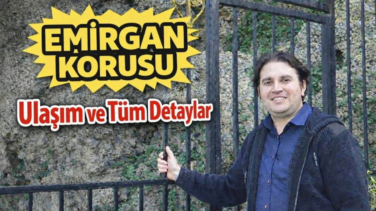 Emirgan Korusu Detaylı Tanıtımı | Nerede ve Nasıl Gidilir?