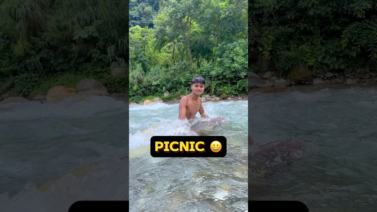First Time Picnic With Family 😀 | WG Day 44/150 | #minivlog #picnic #shorts