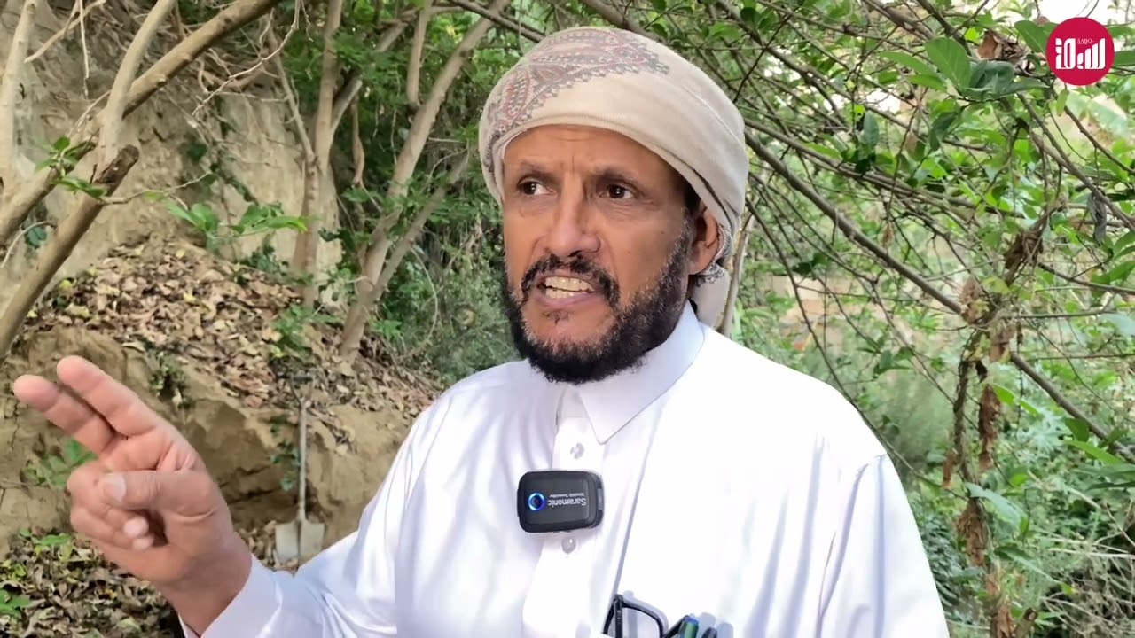 المهندس الزراعي محمد موسى الفيفي يتحدث عن انتشار حشرة 