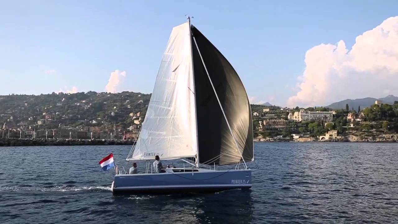 Pointer 25 Image FilmMaster