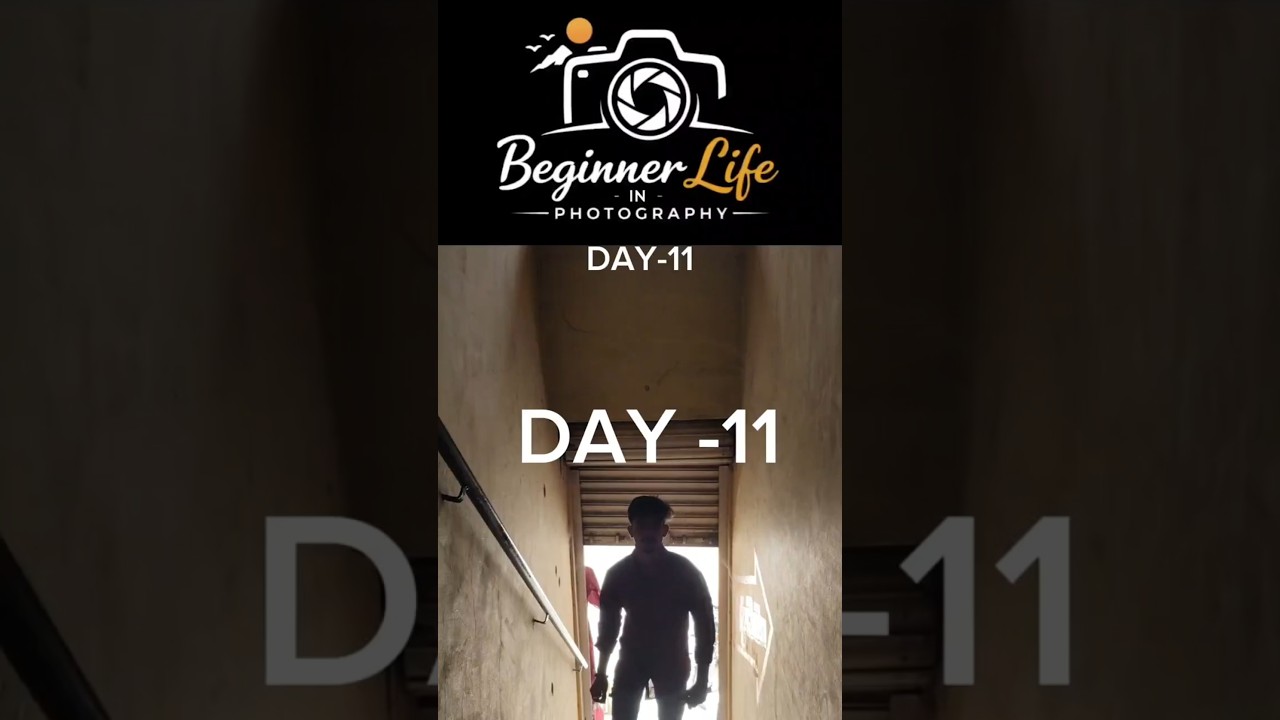 DAY-11 | Beginner Life in Photography📷📽️
