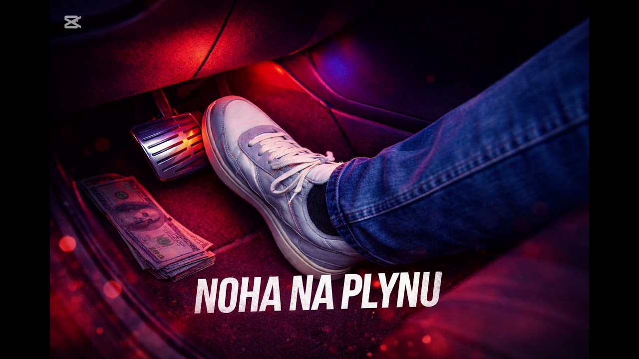 Noha na plynu 