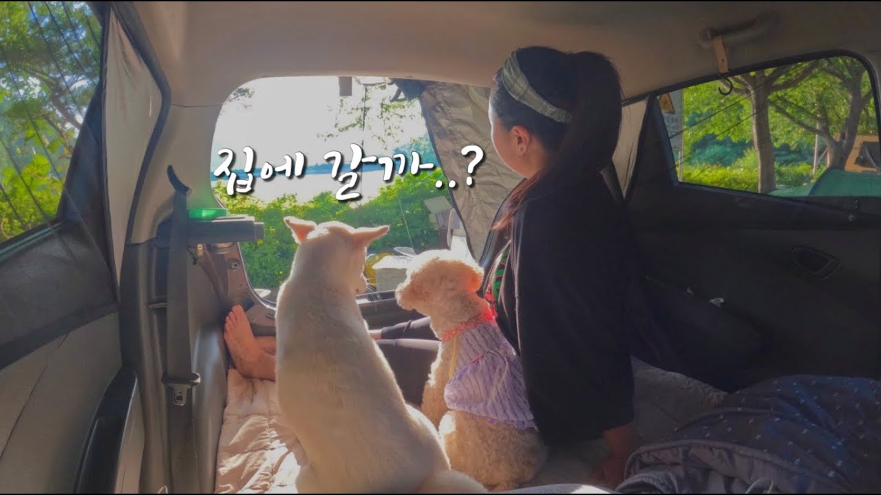 강 뷰가 끝내줬던 차박캠핑 | 애견동반 캠핑 | 부부캠핑의 현실🤯