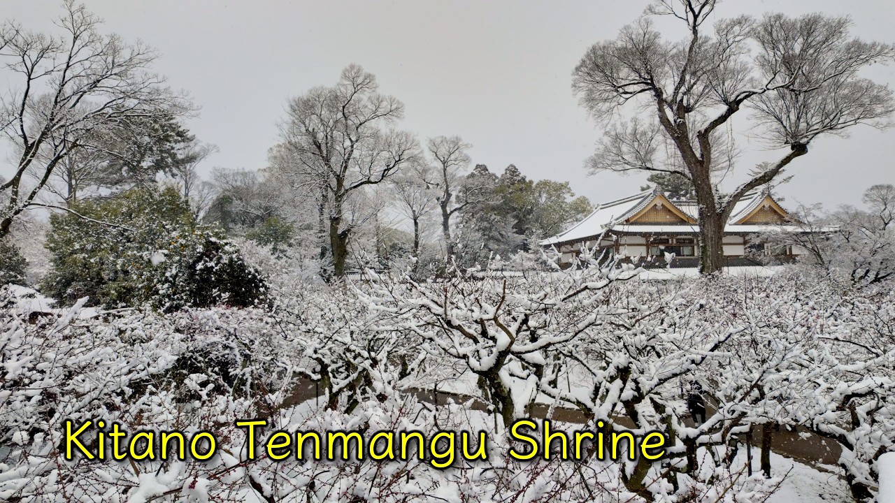 4K Kyoto Snow: The Magical Kitano Tenmangu Shrine in Heavy Snowfall | Winter Travel Guide