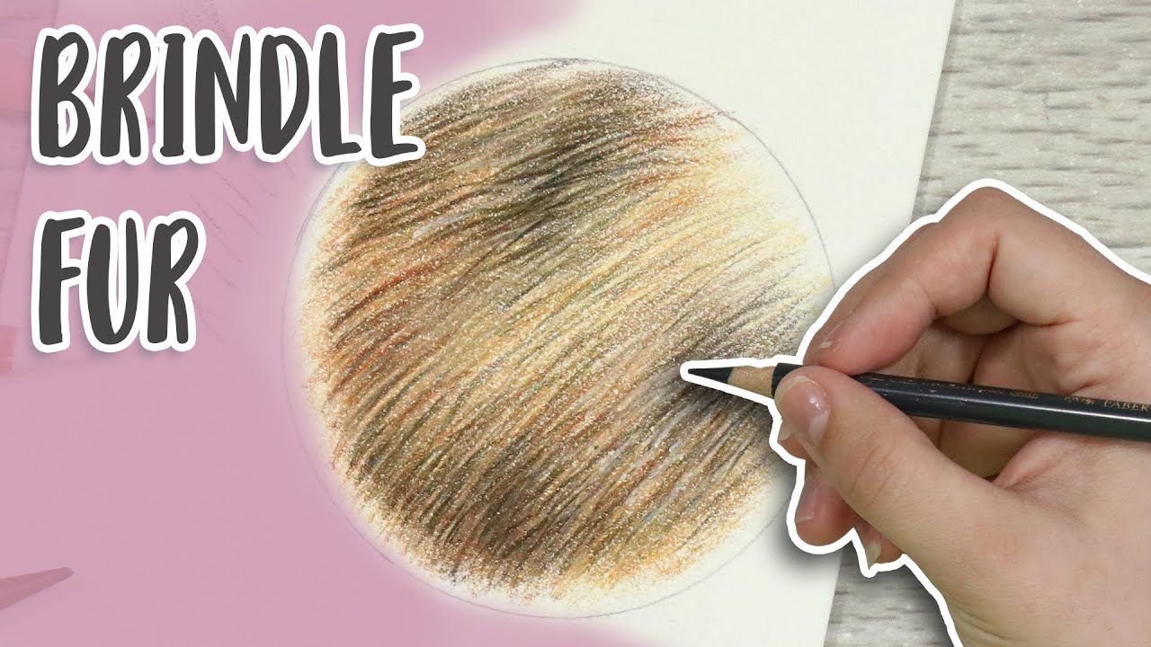 How To Draw BRINDLE FUR with Colored Pencil