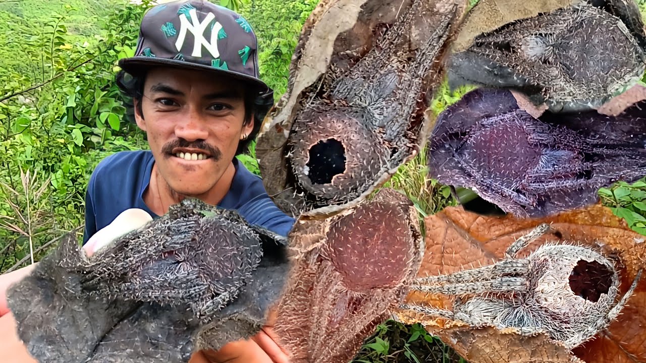 NAKA JACKPOT KAMI NG MGA MAGAGANDANG GAGAMBA ANG LALAKI PA!