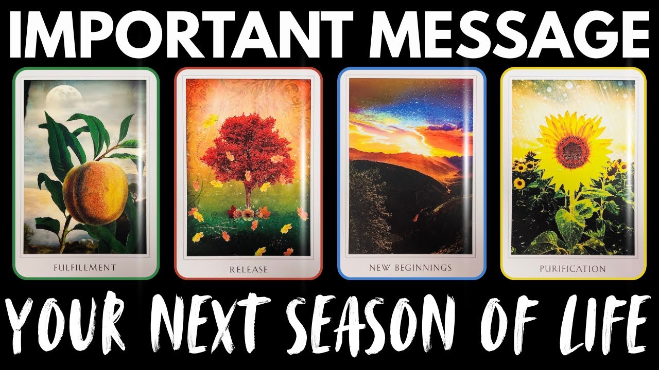 ✨This Might Be Your Best Chapter Yet | Timeless PICK A CARD Reading