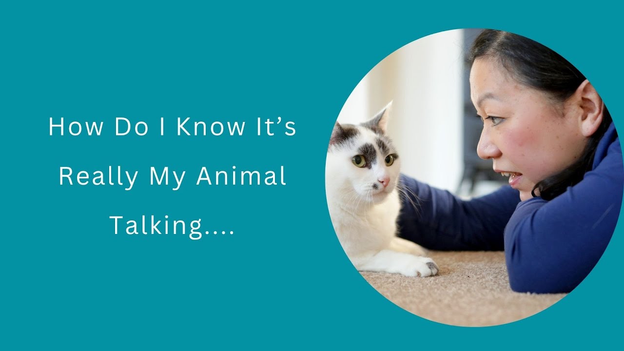 How Do I Know It's Really My Animal Talking | Animal Communication