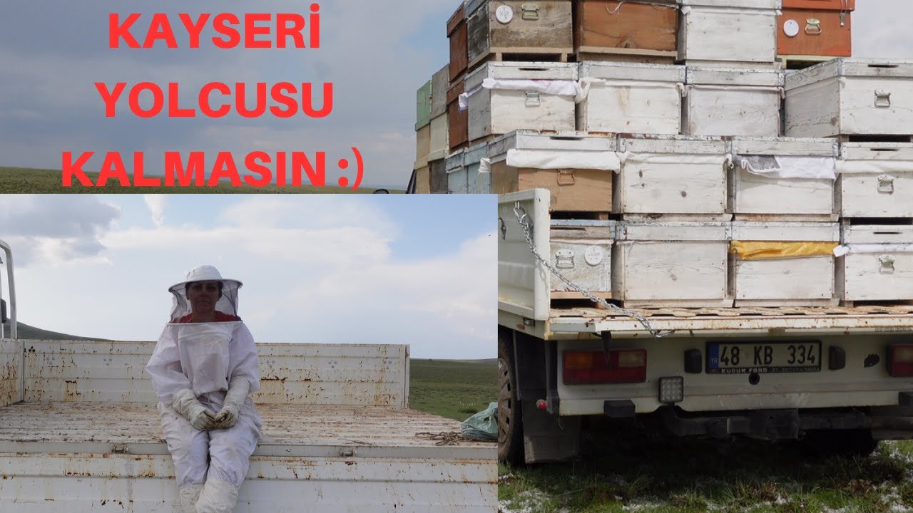 KAYSERİ'YE TAŞINIYORUZ | ARICILIĞI BIRAKMAK ZORUNDA KALABİLİRİZ | ÜZERİMİZE DOLU YAĞACAKTI |