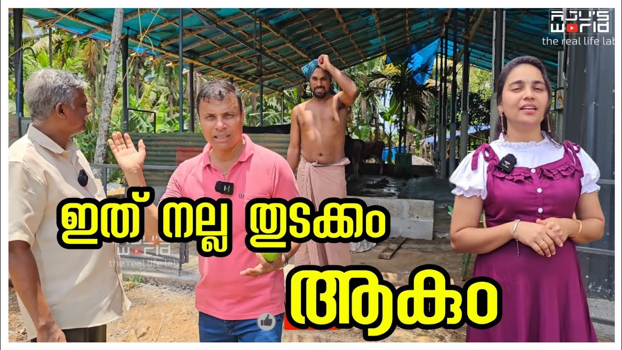നല്ല ഒരു തുടക്കം.... 🥰 /Family vlog /Agriculture tips /Farmers /Fruits /Krishi /Village life