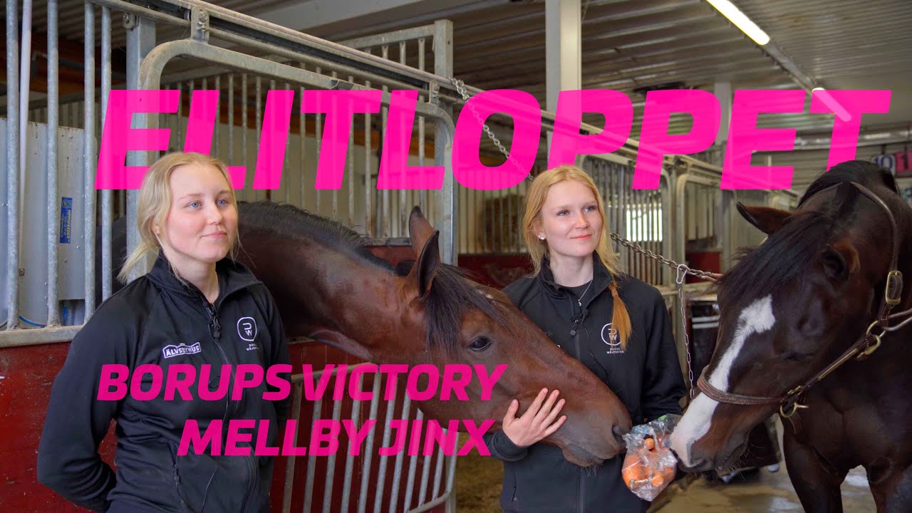 250521 Bergsåker TV- Moa och Ida inför Elitloppet 2025