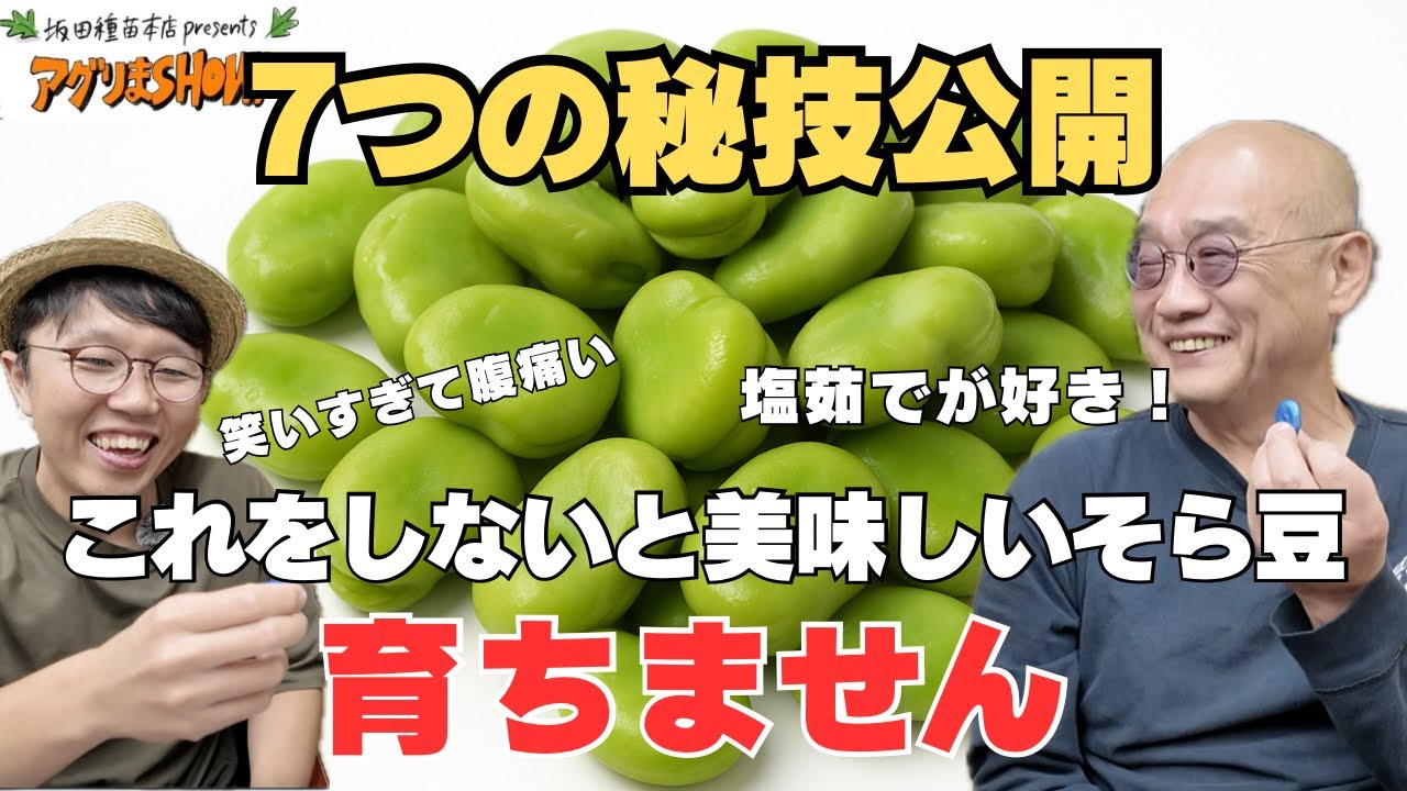 【７つの秘技】大きくておいしいそら豆の育て方