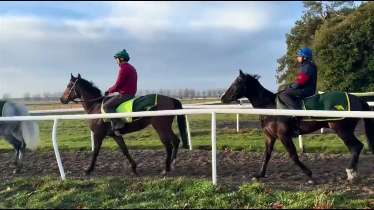 Gallops 31/01/2026- Birkett Racing