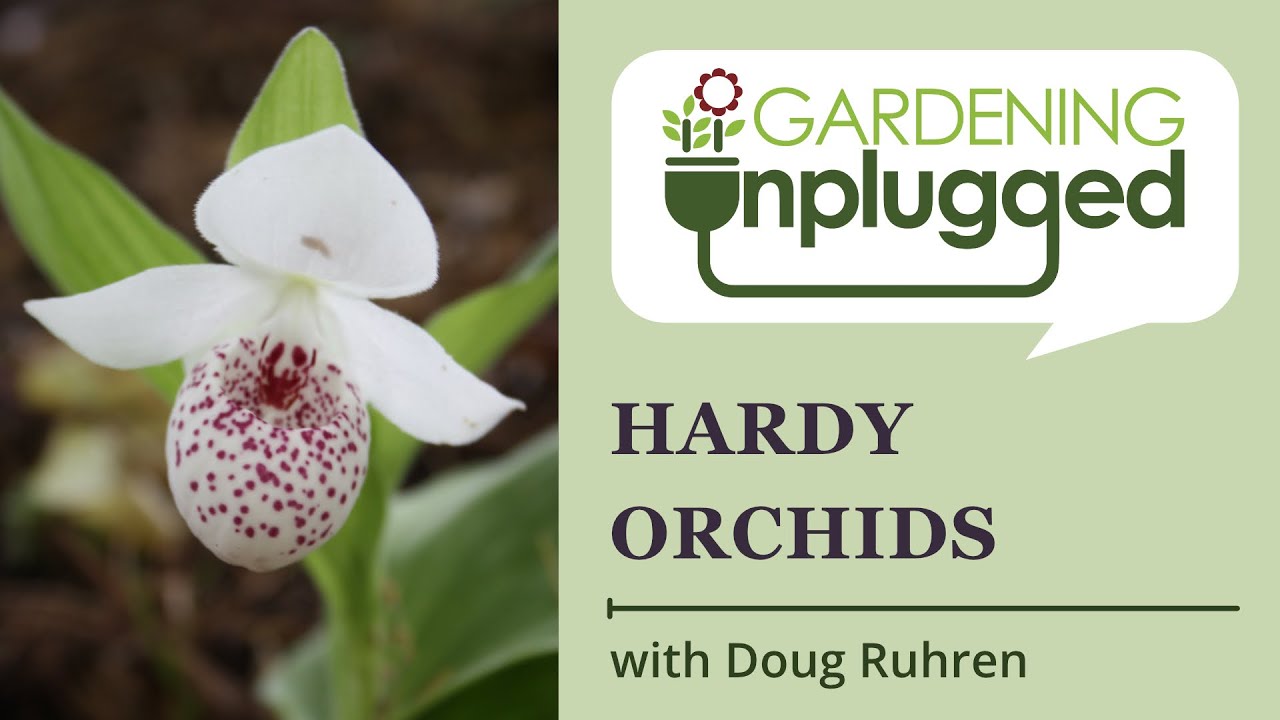 Gardening Unplugged - Hardy Orchids with Doug Ruhren