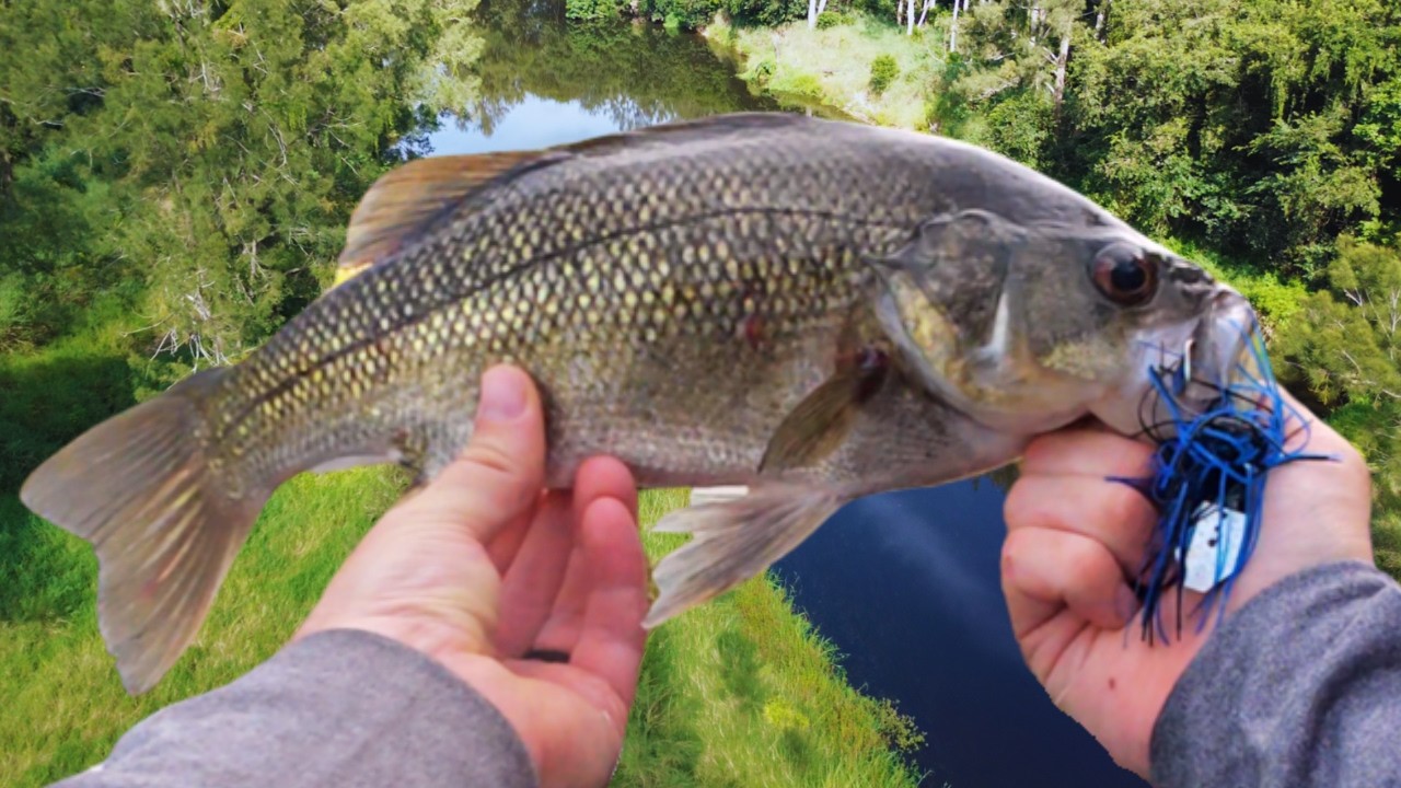 Tough Urban Creek Session...One Lure Got It Done