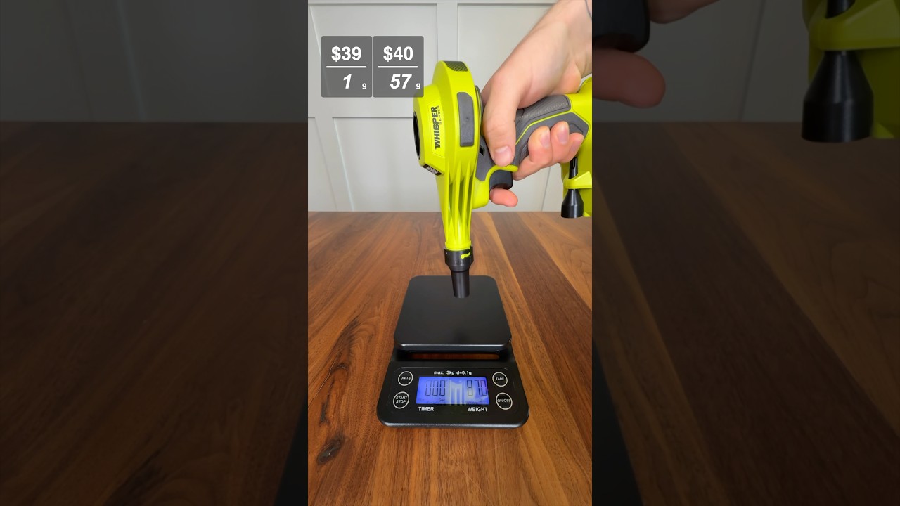 RYOBI Blower Power Test!