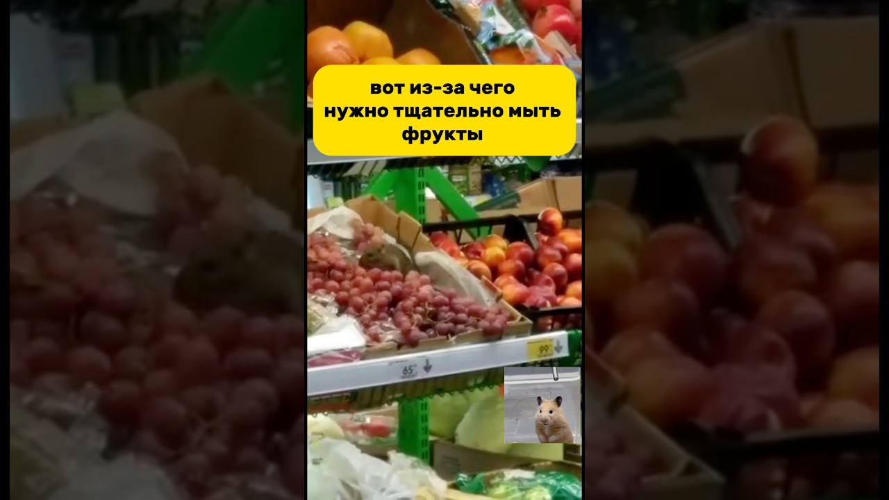 А вы моете фрукты? 🍇 Гель для посуды,фруктов WB: #WW299976 Ozon: #601965379 #рекомендации #дом