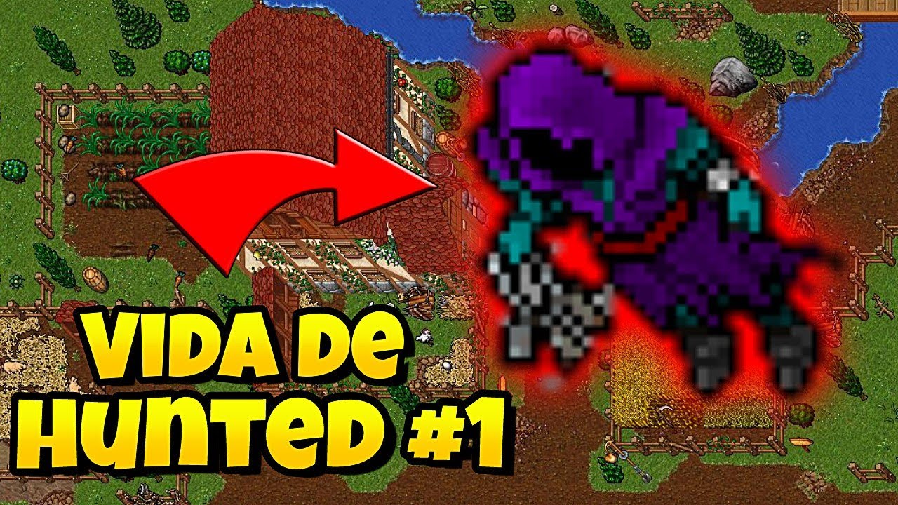VIDA DE HUNTED NO TIBIA (NÃO UPA E NÃO PROFITA) KKK