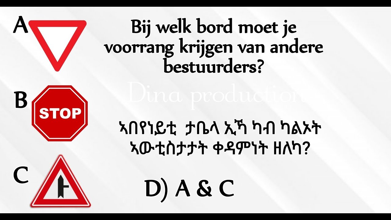 10) ኣብ ፈተና ካብ ዝመጹና ኣገደስቲ ሕቶታት ( Autotheorie vragen )