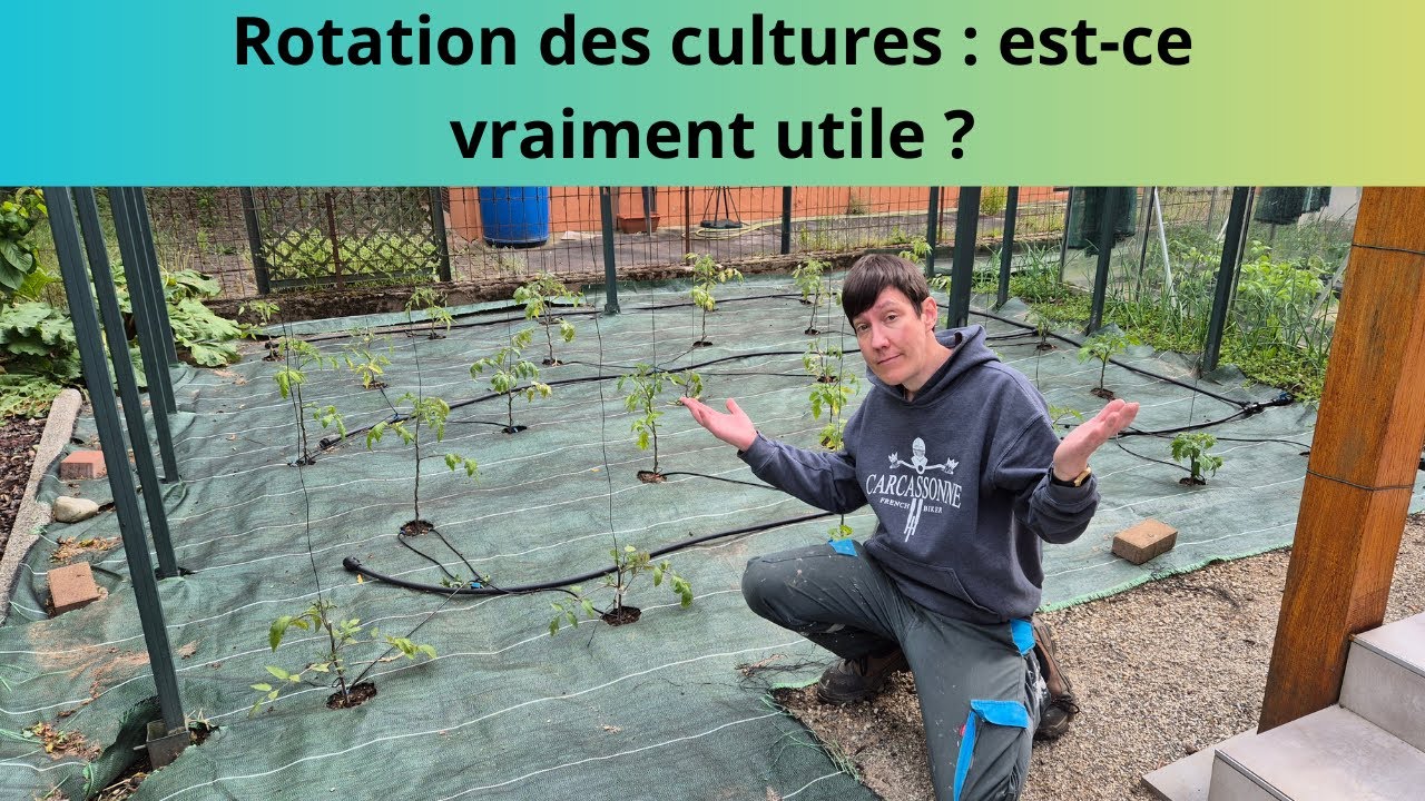 Rotation des cultures : est-ce vraiment utile ?