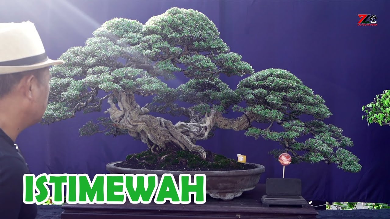 DARI YANG KECIL SAMPAI YANG BESAR, SEMUA ISTIMEWAH