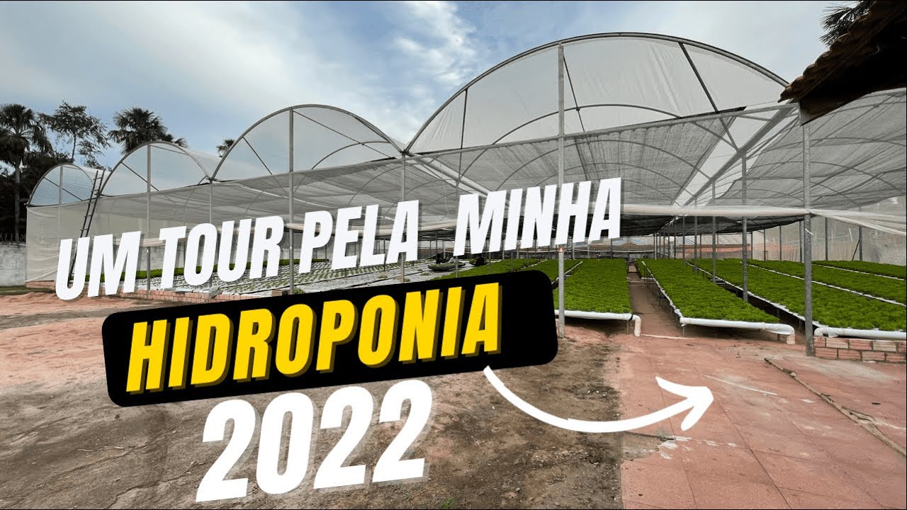 UM TOUR PELA MINHA HIDROPONIA