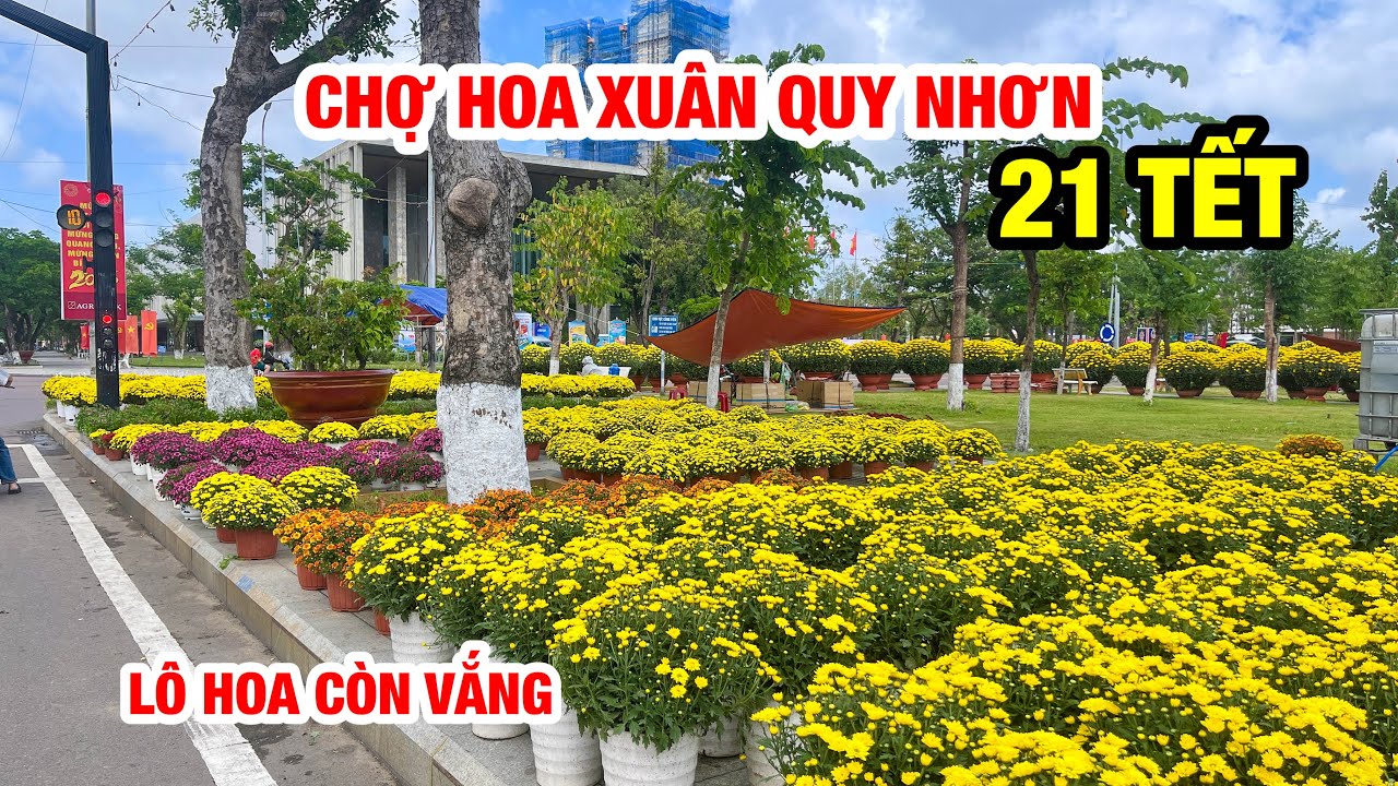 CHỢ HOA XUÂN QUY NHƠN 21 TẾT | HOA CHƯA NHIỀU?