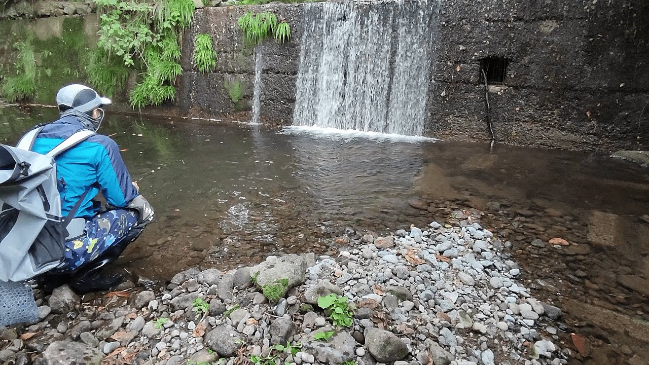 水中に注目！水が無くなった川で釣りをするのだぜ!!!