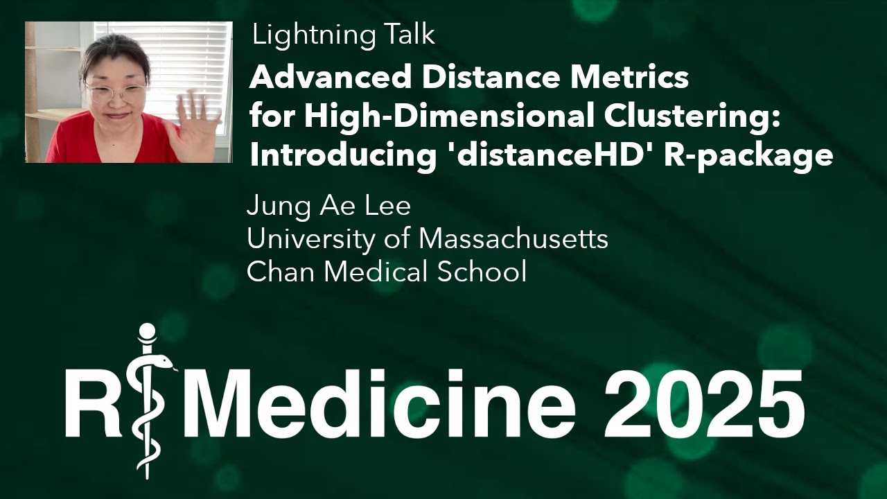 Advanced Distance Metrics for High-Dimensional Clustering: introducing 'distanceHD' R-package