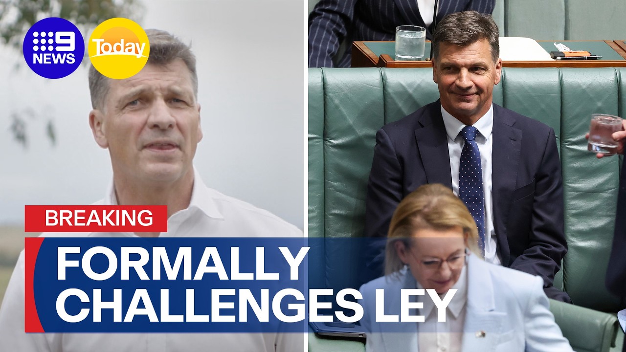 Angus Taylor formally challenges Sussan Ley as leader of the Liberal Party | 9 News Australia