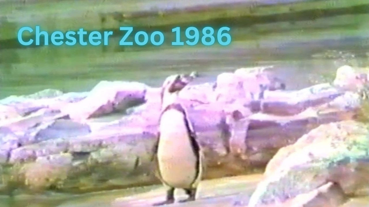 1986 - Chester Zoo - Home Video Footage